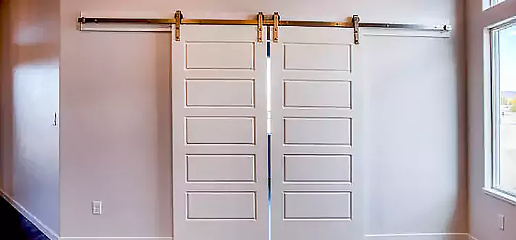 Glass Barn Door with Installation Hardware Kit Englewood